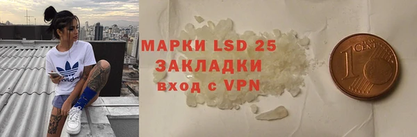 крисы Аркадак