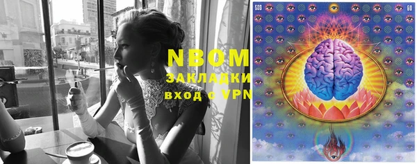 крисы Аркадак
