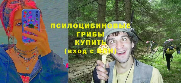 крисы Аркадак