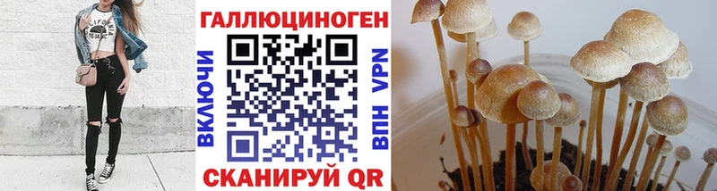 blacksprut   Слюдянка  Галлюциногенные грибы GOLDEN TEACHER 
